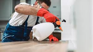 Best Pest Exclusion Services  in St Michael, MN