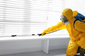 Best Bed Bug Extermination  in St Michael, MN